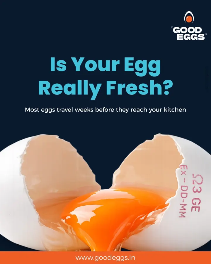 Good Eggs freshness creative